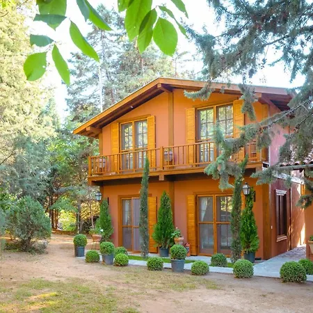 The House * Boyalica