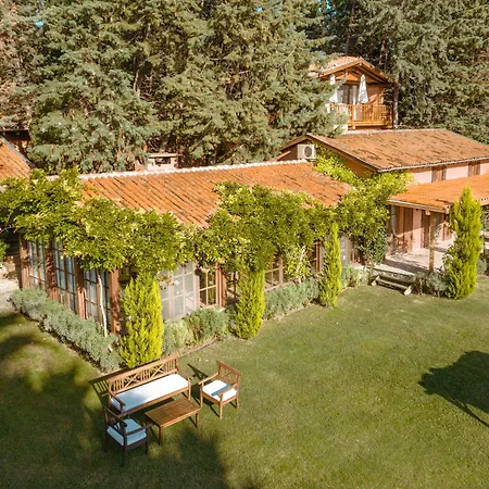 The House * Boyalica